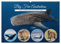 Big Five Australiens Buckelwal, Walhai, Orca, Quokka,Känguru (Wandkalender 2025 DIN A2 quer), CALVENDO Monatskalender