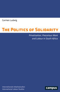 Vorderes Coverbild The Politics of Solidarity