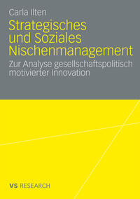 Strategisches und soziales Nischenmanagement