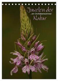 Juwelen der Natur - Ein Orchideensommer (Tischkalender 2025 DIN A5 hoch), CALVENDO Monatskalender
