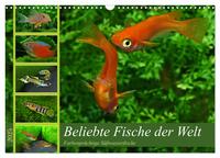 Beliebte Fische der Welt (Wandkalender 2025 DIN A3 quer), CALVENDO Monatskalender