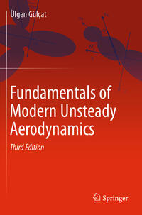 Fundamentals of Modern Unsteady Aerodynamics