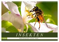 INSEKTEN - Makrofotografie in freier Natur (Wandkalender 2026 DIN A3 quer), CALVENDO Monatskalender