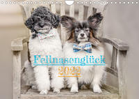 Fellnasenglück (Wandkalender immerwährend DIN A4 quer)
