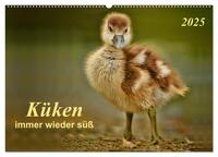 Küken - immer wieder süß (Wandkalender 2025 DIN A2 quer), CALVENDO Monatskalender