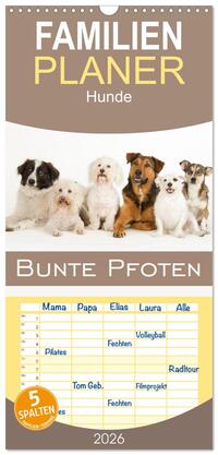 Familienplaner 2026 - Bunte Pfoten mit 5 Spalten (Wandkalender, 21 x 45 cm) CALVENDO