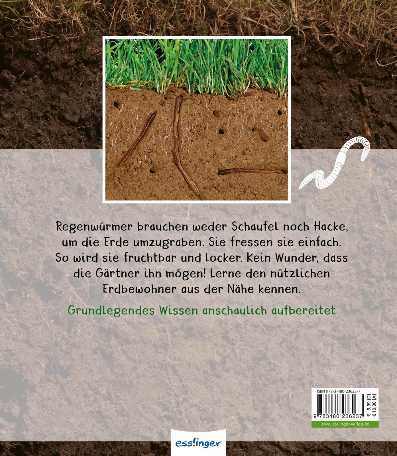 Rückseitencover Meine große Tierbibliothek: Der Regenwurm
