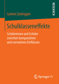 Schulklasseneffekte