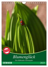 Blumenglück. Ein blühendes Gartenjahr (Wandkalender 2025 DIN A4 hoch), CALVENDO Monatskalender