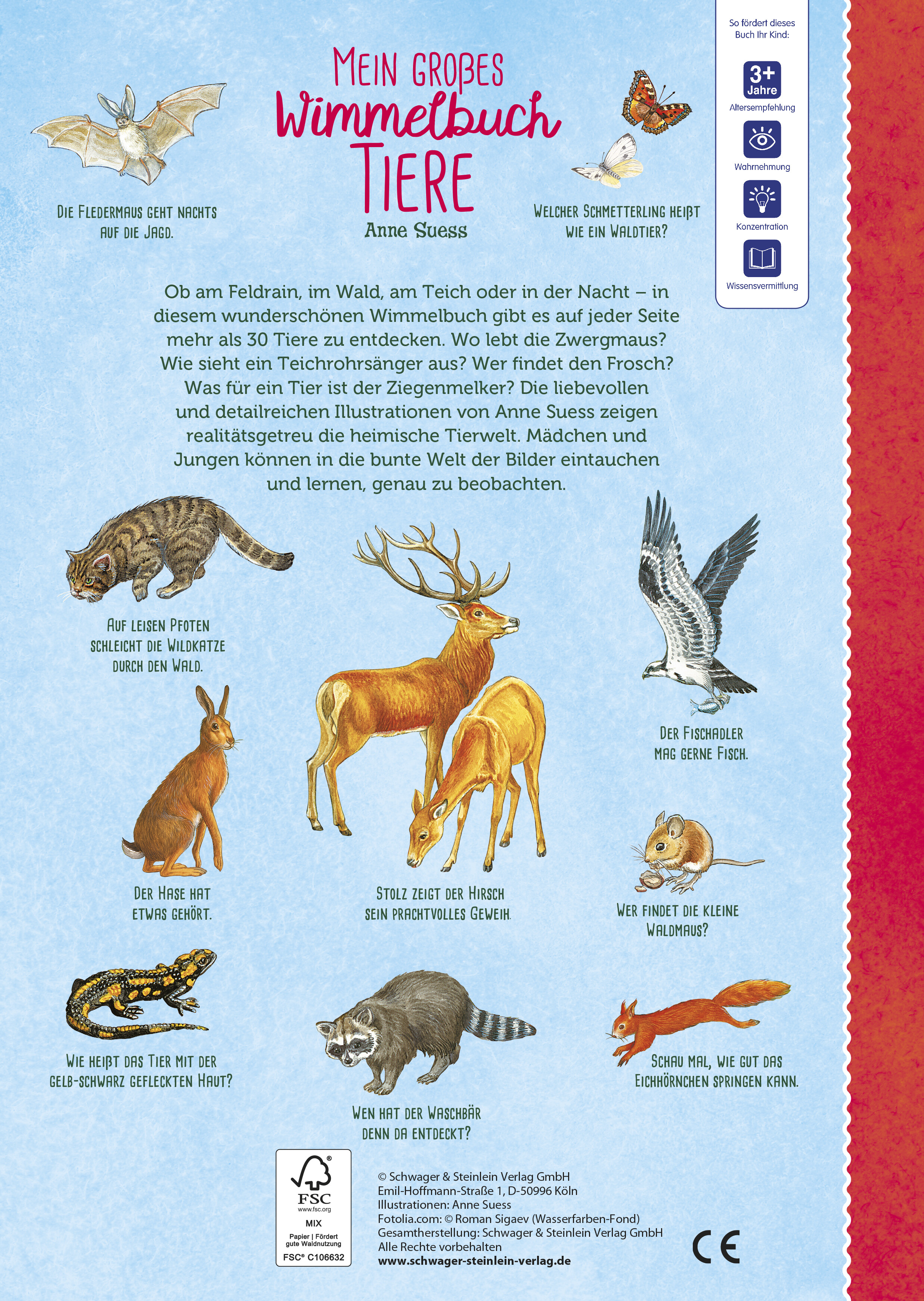 Rückseitencover Mein großes Wimmelbuch Tiere