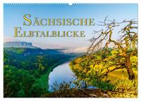 Sächsische Elbtalblicke (Wandkalender 2026 DIN A2 quer), CALVENDO Monatskalender