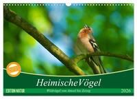 Heimische Vögel (Wandkalender 2026 DIN A3 quer), CALVENDO Monatskalender