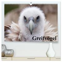 Greifvögel (hochwertiger Premium Wandkalender 2026 DIN A2 quer), Kunstdruck in Hochglanz