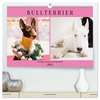 Bullterrier. Freudiges Wesen und Charakter (hochwertiger Premium Wandkalender 2025 DIN A2 quer), Kunstdruck in Hochglanz