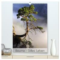 Bäume - Stilles Leben (hochwertiger Premium Wandkalender 2026 DIN A2 hoch), Kunstdruck in Hochglanz