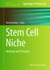 Stem Cell Niche