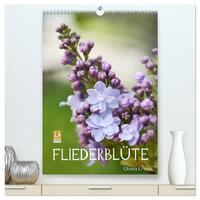 Fliederblüte (hochwertiger Premium Wandkalender 2026 DIN A2 hoch), Kunstdruck in Hochglanz