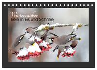 Winterzauber - Tiere in Eis und Schnee (Tischkalender 2025 DIN A5 quer), CALVENDO Monatskalender