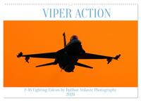VIPER ACTION - F-16 FIGHTING FALCON (Wandkalender 2026 DIN A2 quer), CALVENDO Monatskalender