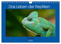 Das Leben der Reptilien (Wandkalender 2025 DIN A4 quer), CALVENDO Monatskalender