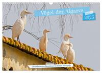 Vögel der Algarve (Wandkalender 2025 DIN A3 quer), CALVENDO Monatskalender
