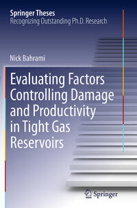 Evaluating Factors Controlling Damage and Productivity in Tight Gas Reservoirs