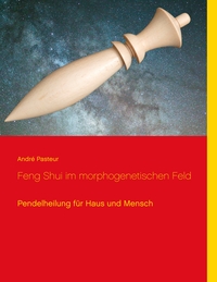 Vorderes Coverbild Feng Shui im morphogenetischen Feld