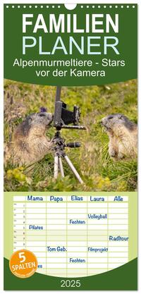 Familienplaner 2025 - Alpenmurmeltiere - Stars vor der Kamera mit 5 Spalten (Wandkalender, 21 x 45 cm) CALVENDO