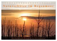 Naturschätze im Regenmoor - Die Sundische Wiese an der Ostseeküste (Tischkalender 2025 DIN A5 quer), CALVENDO Monatskalender
