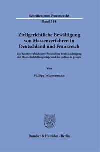 Zivilgerichtliche Bewältigung von Massenverfahren in Deutschland und Frankreich