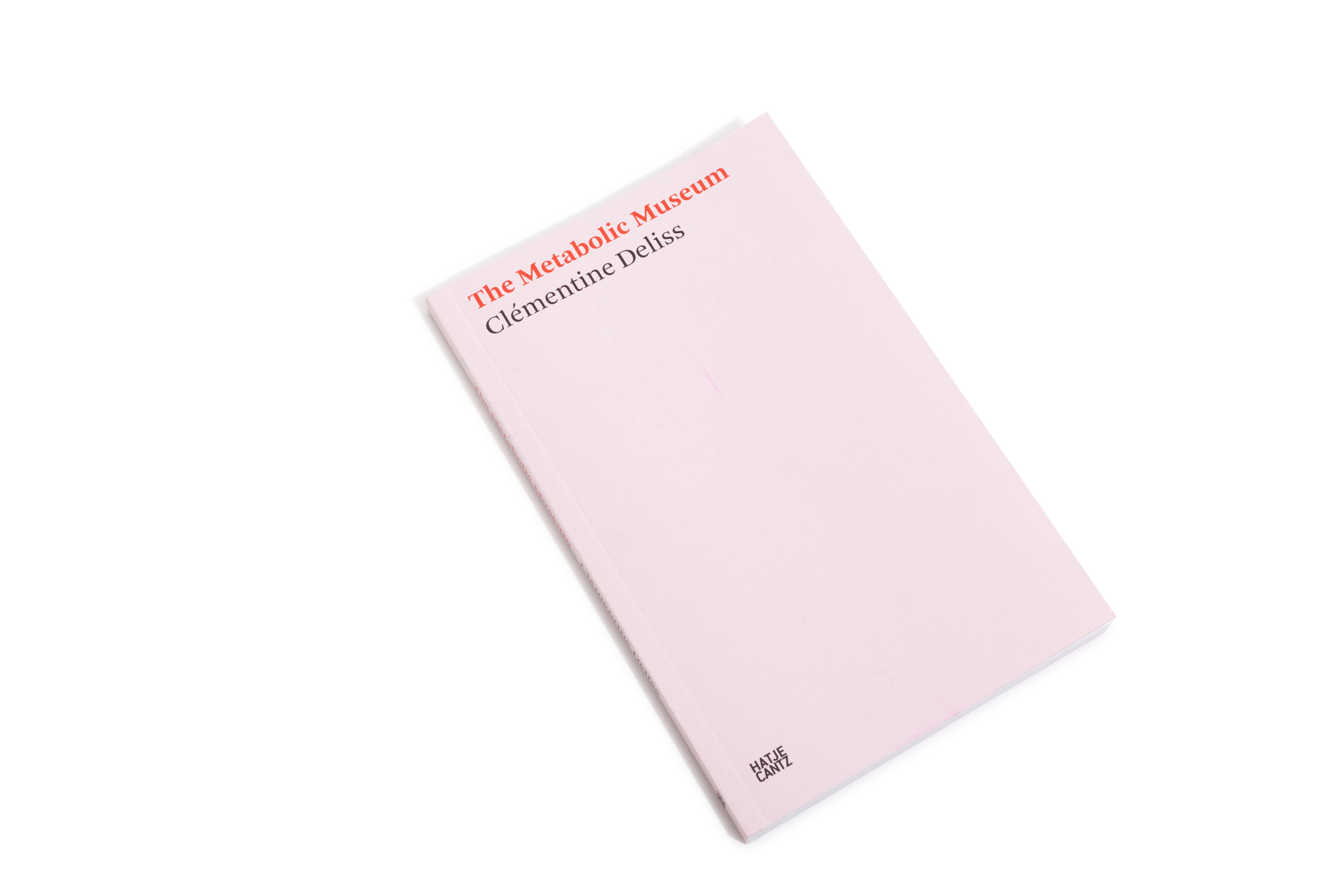 Beispielinhalt (Bild) Clémentine Deliss