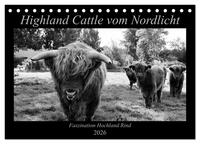 Highland Cattle vom Nordlicht - Faszination Hochland Rind (Tischkalender 2026 DIN A5 quer), CALVENDO Monatskalender