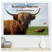 Vorderes Coverbild Die anmutigste Rinderrasse - Das schottische Hochlandrind (hochwertiger Premium Wandkalender 2026 DIN A2 quer), Kunstdruck in Hochglanz