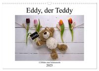 Eddy, der Teddy - 12 Bilder zum Schmunzeln (Wandkalender 2025 DIN A3 quer), CALVENDO Monatskalender