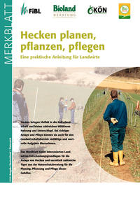 Hecken planen, pflanzen, pflegen