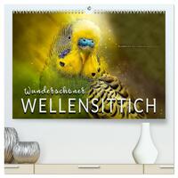 Wunderschöner Wellensittich (hochwertiger Premium Wandkalender 2026 DIN A2 quer), Kunstdruck in Hochglanz