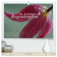 Die Schönheit von Regentropfen (hochwertiger Premium Wandkalender 2025 DIN A2 quer), Kunstdruck in Hochglanz