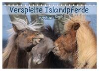 Verspielte Islandpferde Kopf an Kopf (Tischkalender 2025 DIN A5 quer), CALVENDO Monatskalender