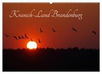 Kranich-Land Brandenburg (Wandkalender 2026 DIN A2 quer), CALVENDO Monatskalender