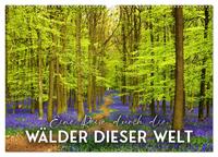 Eine Reise durch die Wälder dieser Welt (Wandkalender 2025 DIN A2 quer), CALVENDO Monatskalender