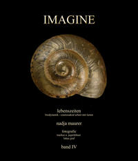 IMAGINE band 4