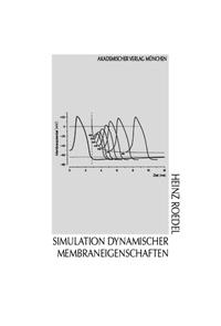 Simulation dynamischer Membraneigenschaften