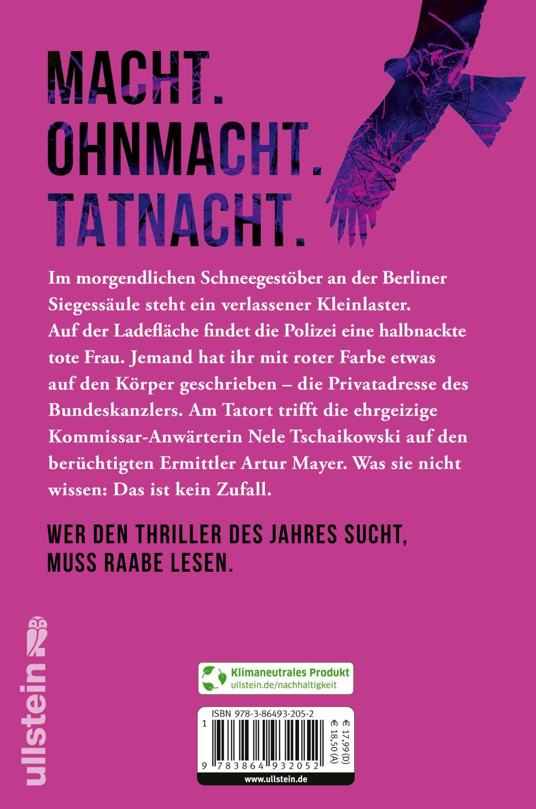 Rückseitencover Der Morgen (Art Mayer-Serie 1)