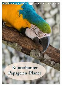 Kunterbunter Papageien-Planer (Wandkalender 2026 DIN A4 hoch), CALVENDO Monatskalender