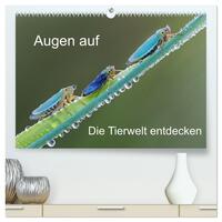 Augen auf - versteckte Tierwelt (hochwertiger Premium Wandkalender 2026 DIN A2 quer), Kunstdruck in Hochglanz