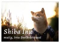 Vorderes Coverbild Shiba Inu - mutig, treu, selbstbewusst (Wandkalender 2026 DIN A2 quer), CALVENDO Monatskalender