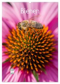 Bienenkalender (Wandkalender 2026 DIN A2 hoch), CALVENDO Monatskalender