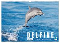 Delfine: Elegante Wellenreiter (Wandkalender 2026 DIN A2 quer), CALVENDO Monatskalender