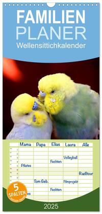 Familienplaner 2025 - Wellensittichkalender mit 5 Spalten (Wandkalender, 21 x 45 cm) CALVENDO