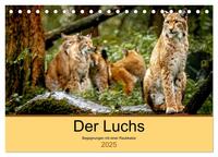 Der Luchs - Begegnungen mit einer Raubkatze (Tischkalender 2025 DIN A5 quer), CALVENDO Monatskalender